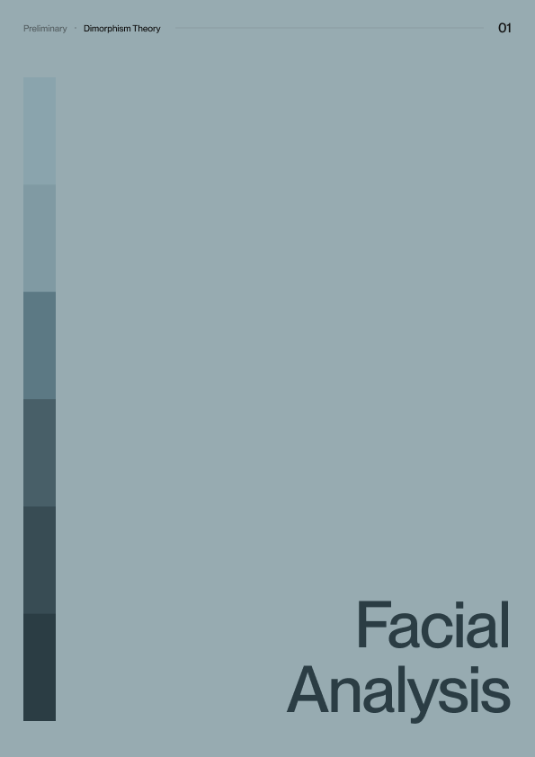 Facial Analysis Report